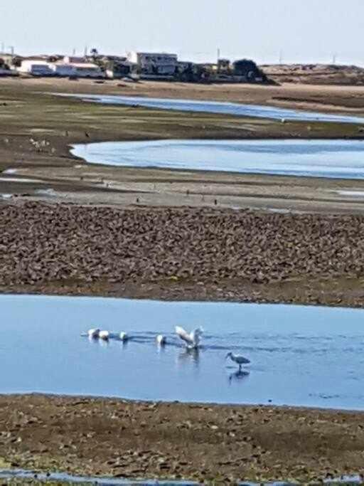 Вилла Ria Formosa Pineview Фару Экстерьер фото