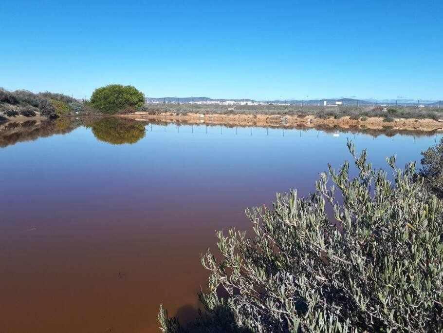 Вилла Ria Formosa Pineview Фару Экстерьер фото